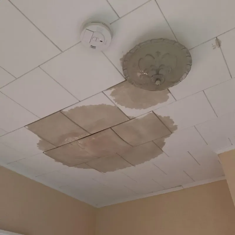 Ceiling Water Damage Repair in Booneville, MS