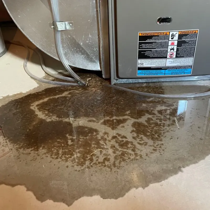 Pipe Burst and Leak Restoration in Booneville, MS
