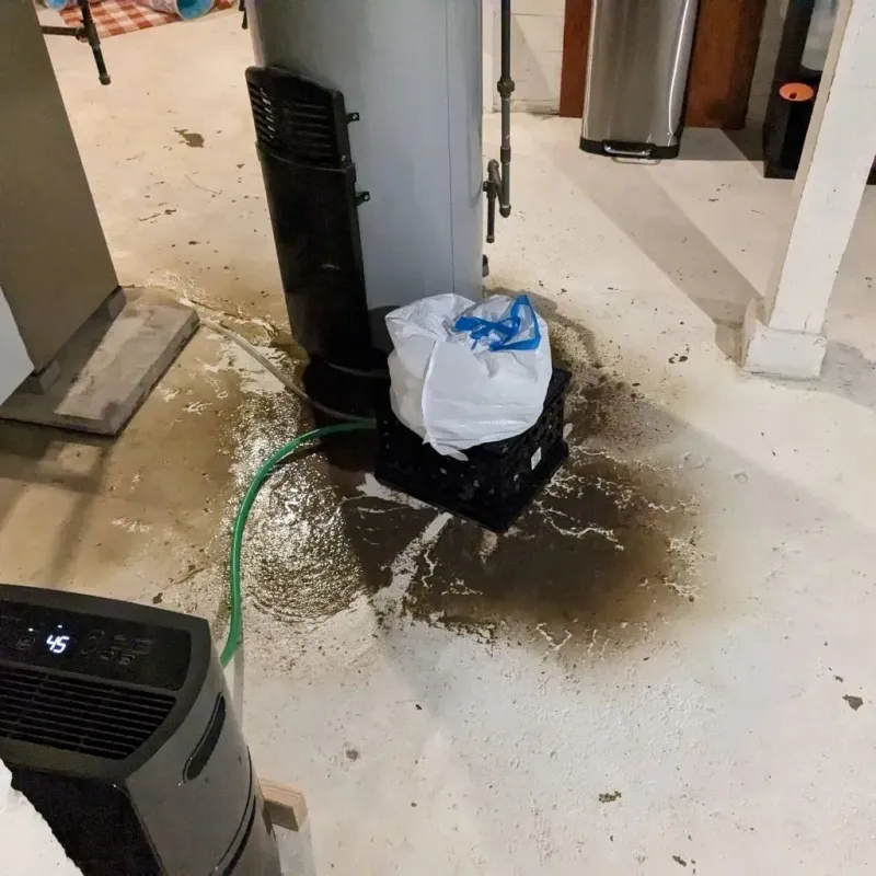 Sewage Backup Cleanup Service in Booneville, MS